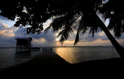 1732-Tobacco Caye Sunrise